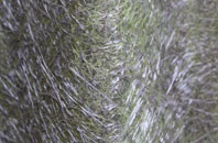 Scots Gap fibreglass roof work